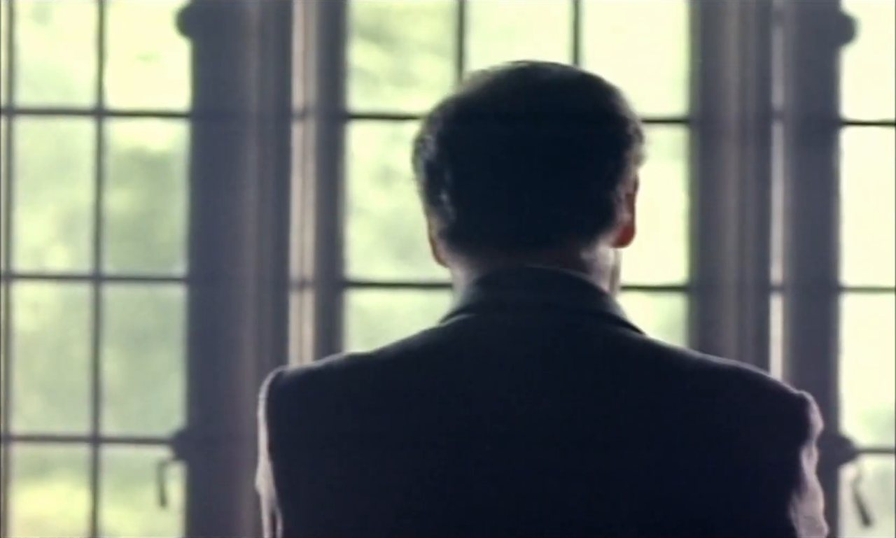 A man in a dark jacket, seen from behind, looking out a tall leaded window.